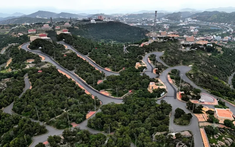 جبل ناصر